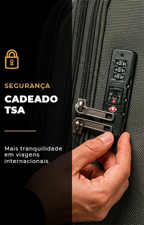Veja mais: 